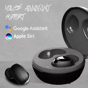 Zebronics Zeb-Sound Bomb 1 TWS Earbuds with BT5.0, Upto 12H Playback, Touch Controls, Voice Assistant, Type C Portable Charging Case